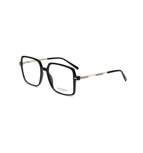 BR639 - Clip solaire polarisé