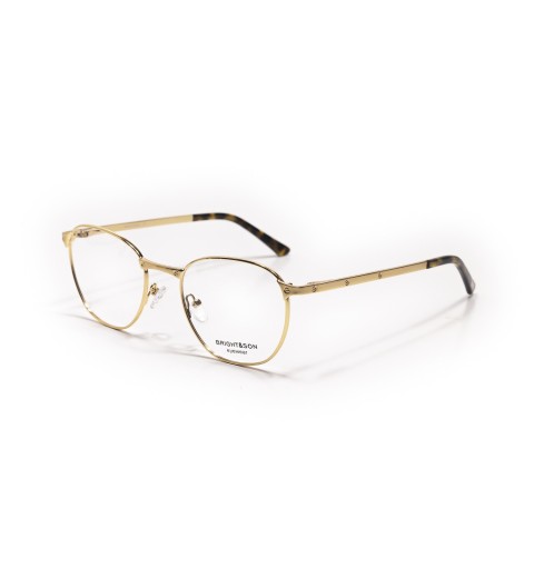 BR556 - COLLECTION OPTIQUE PERCEE