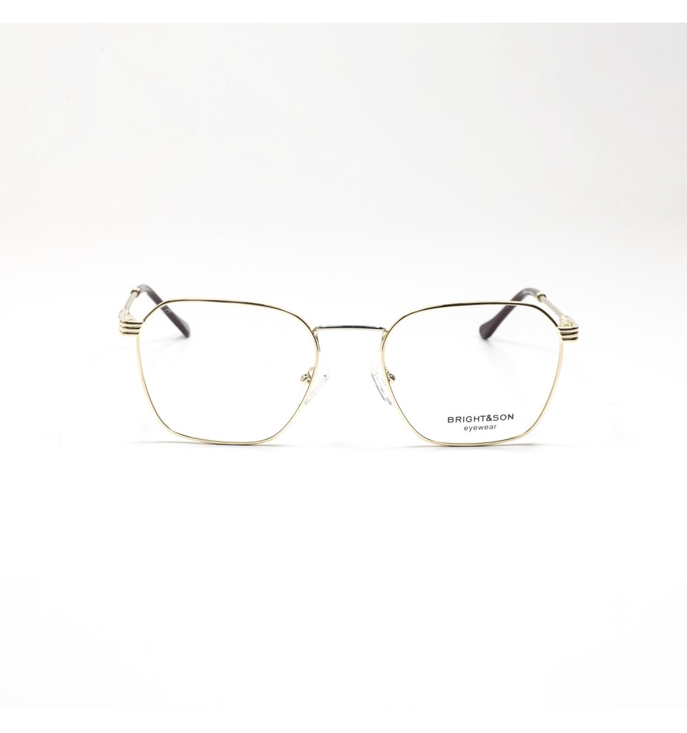 BR494 - COLLECTION OPTIQUE