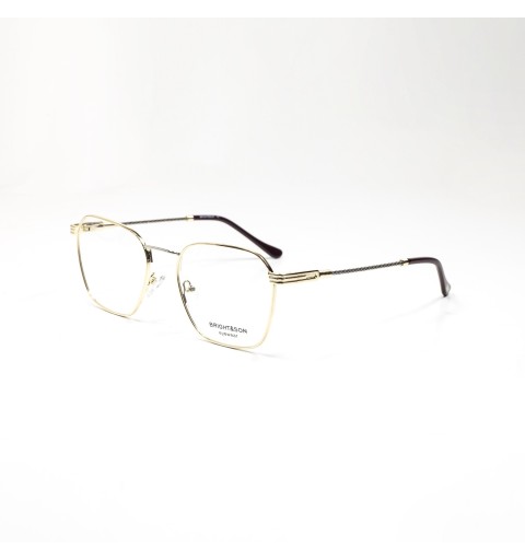 BR494 - COLLECTION OPTIQUE