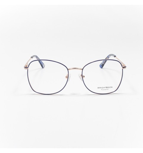 BR439 - COLLECTION OPTIQUE